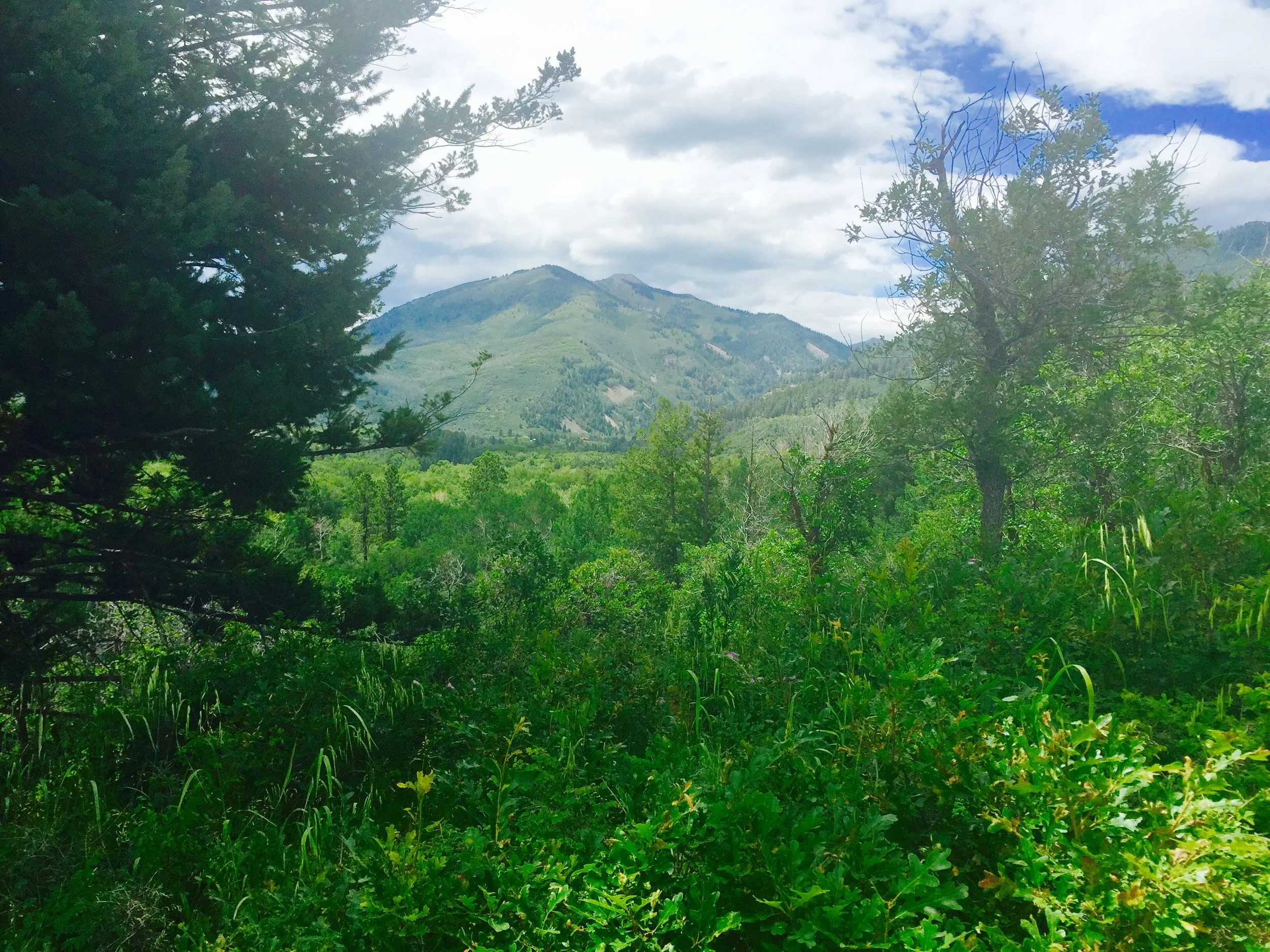 Durango, CO land for sale