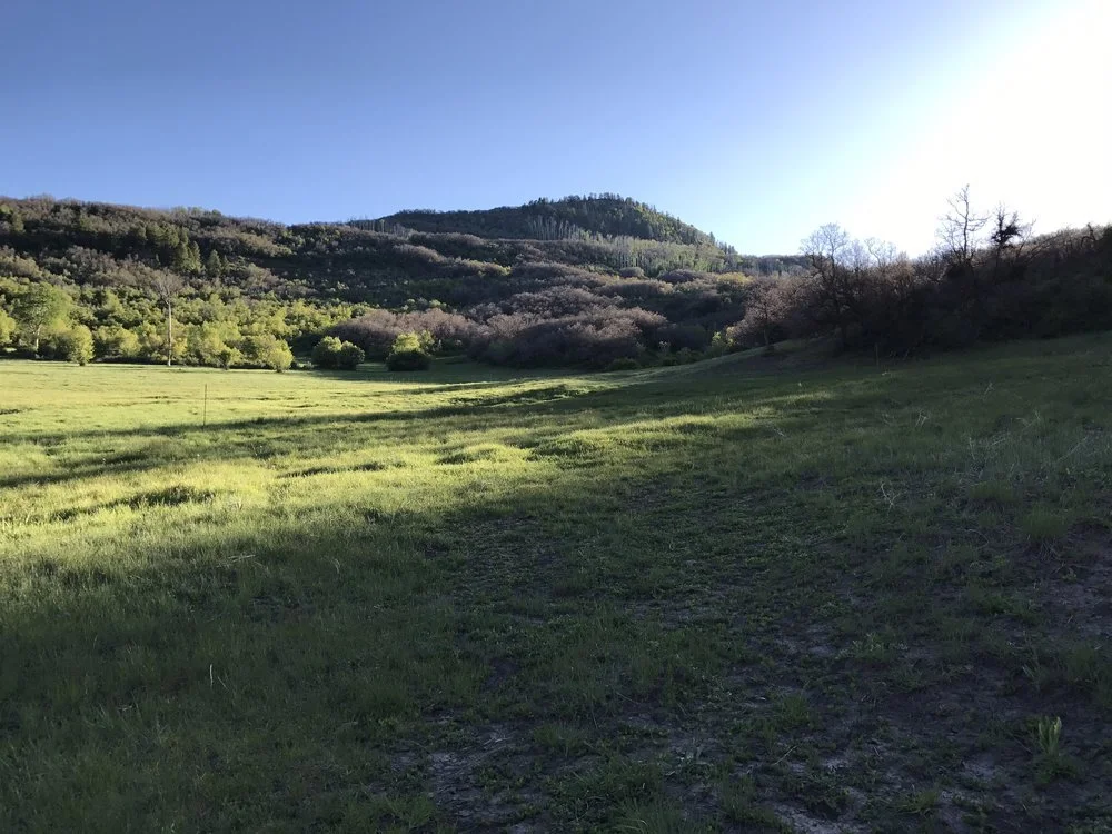 destinationranch11.jpg