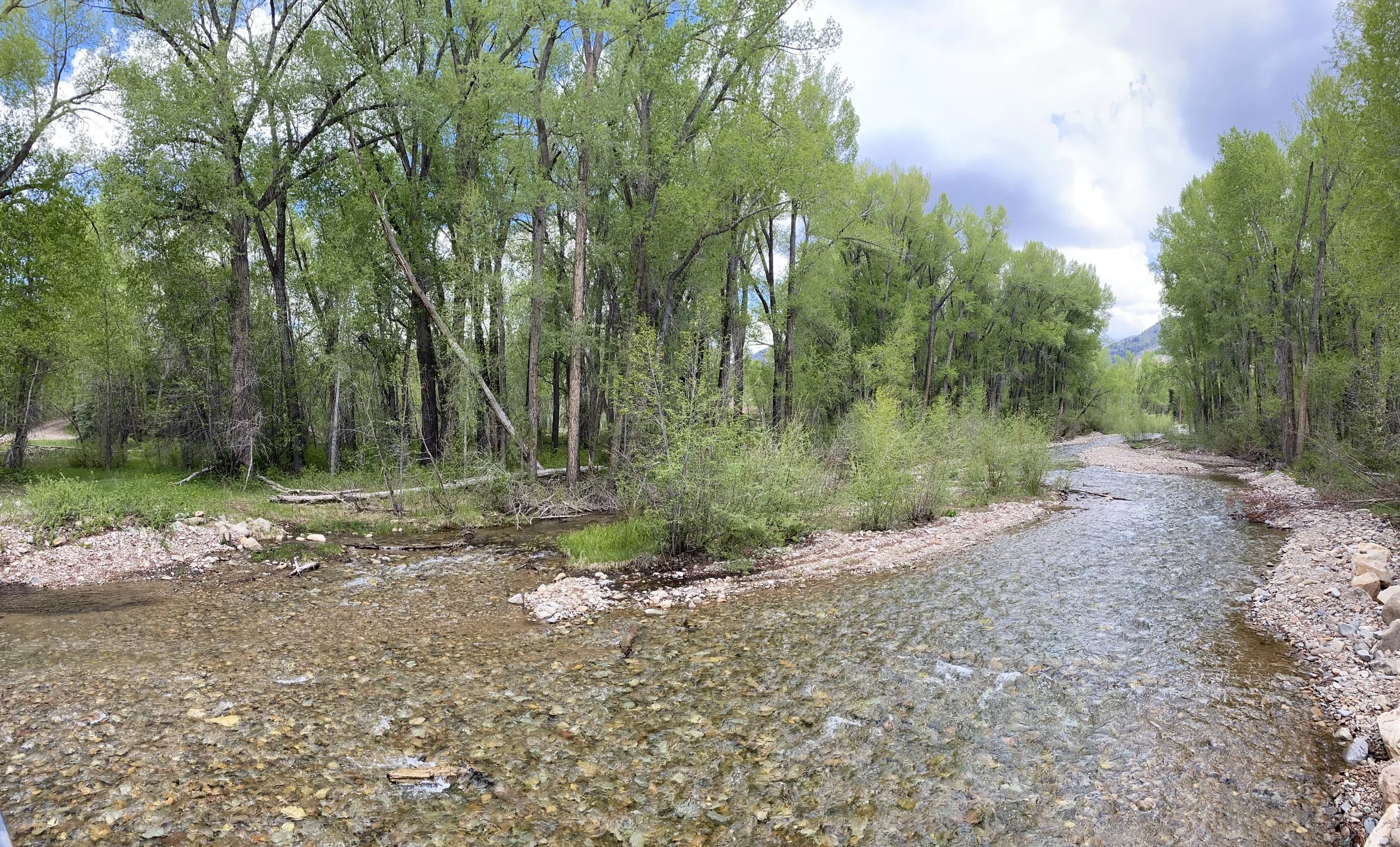 SOTriver.jpg