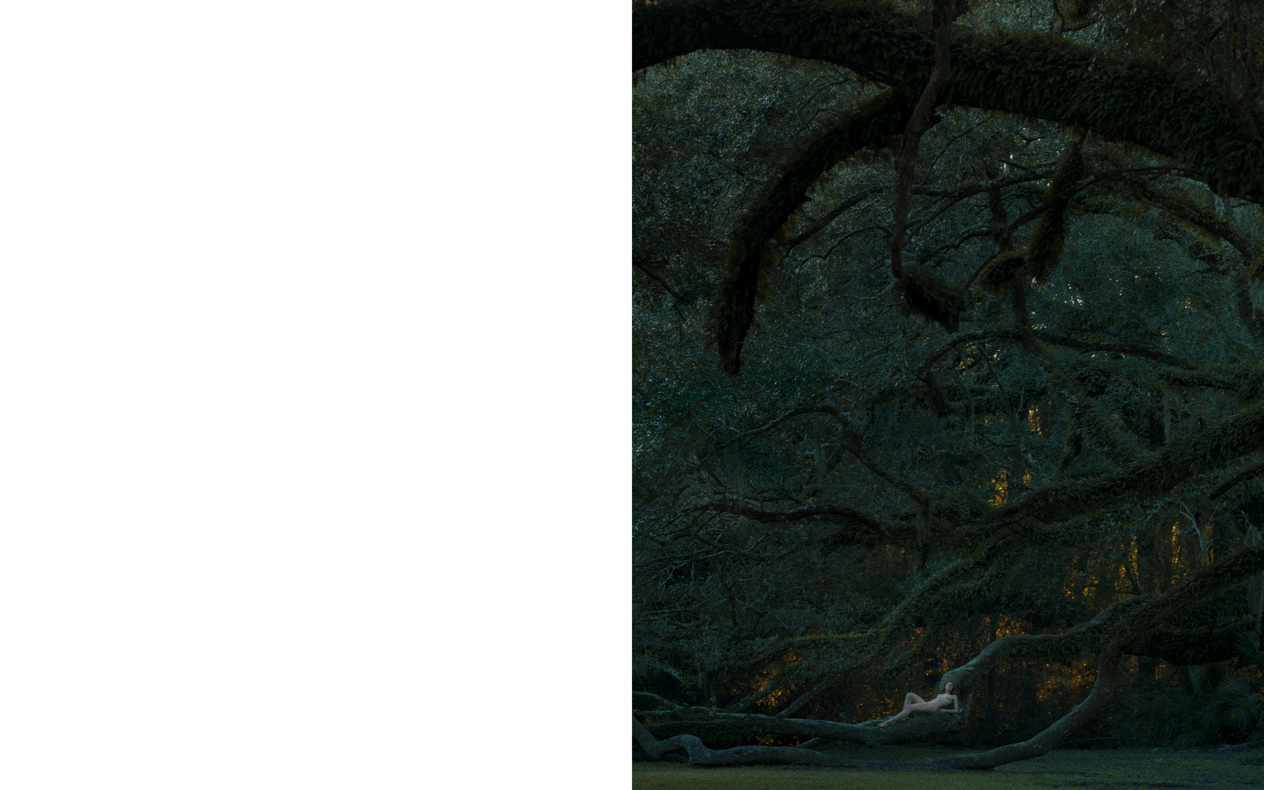 dominik_tarabanski_-_visual_conversation_-_silence_very_personal_chapter_one_1.jpg