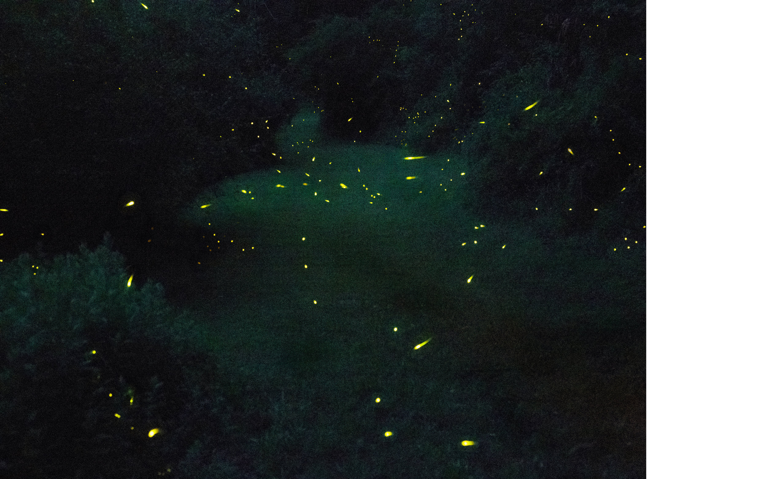 dominik_tarabanski_-_visual_conversation_-_silence_very_personal_chapter_one_7.jpg