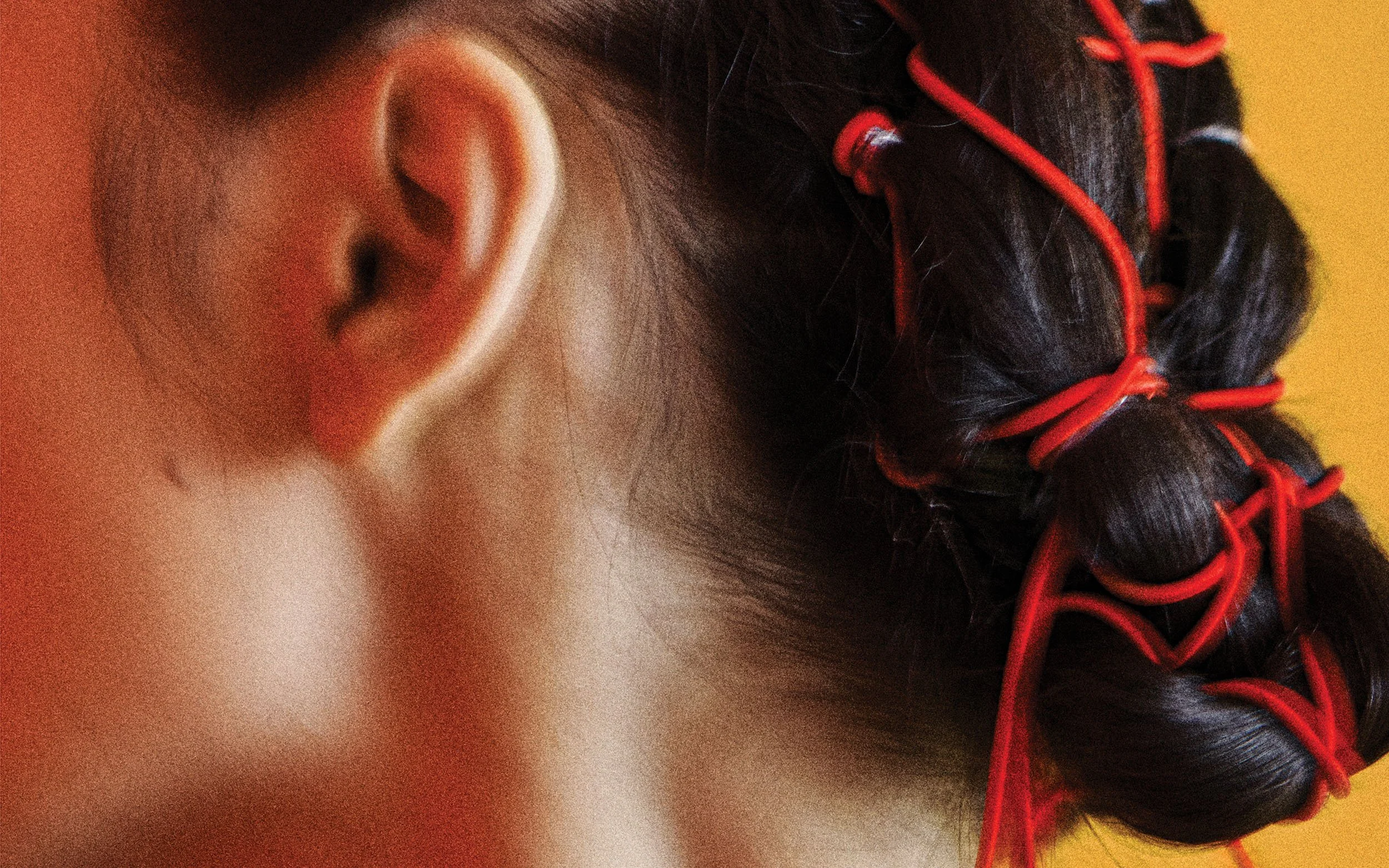 dominik tarabanski - portfolio v6 20251110 November 17.jpg