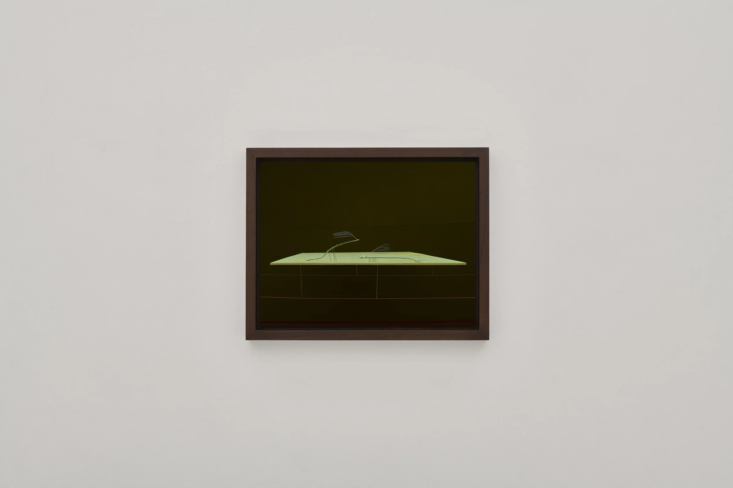 Between Stems — work 005, Dominik Tarabański, New York 2026