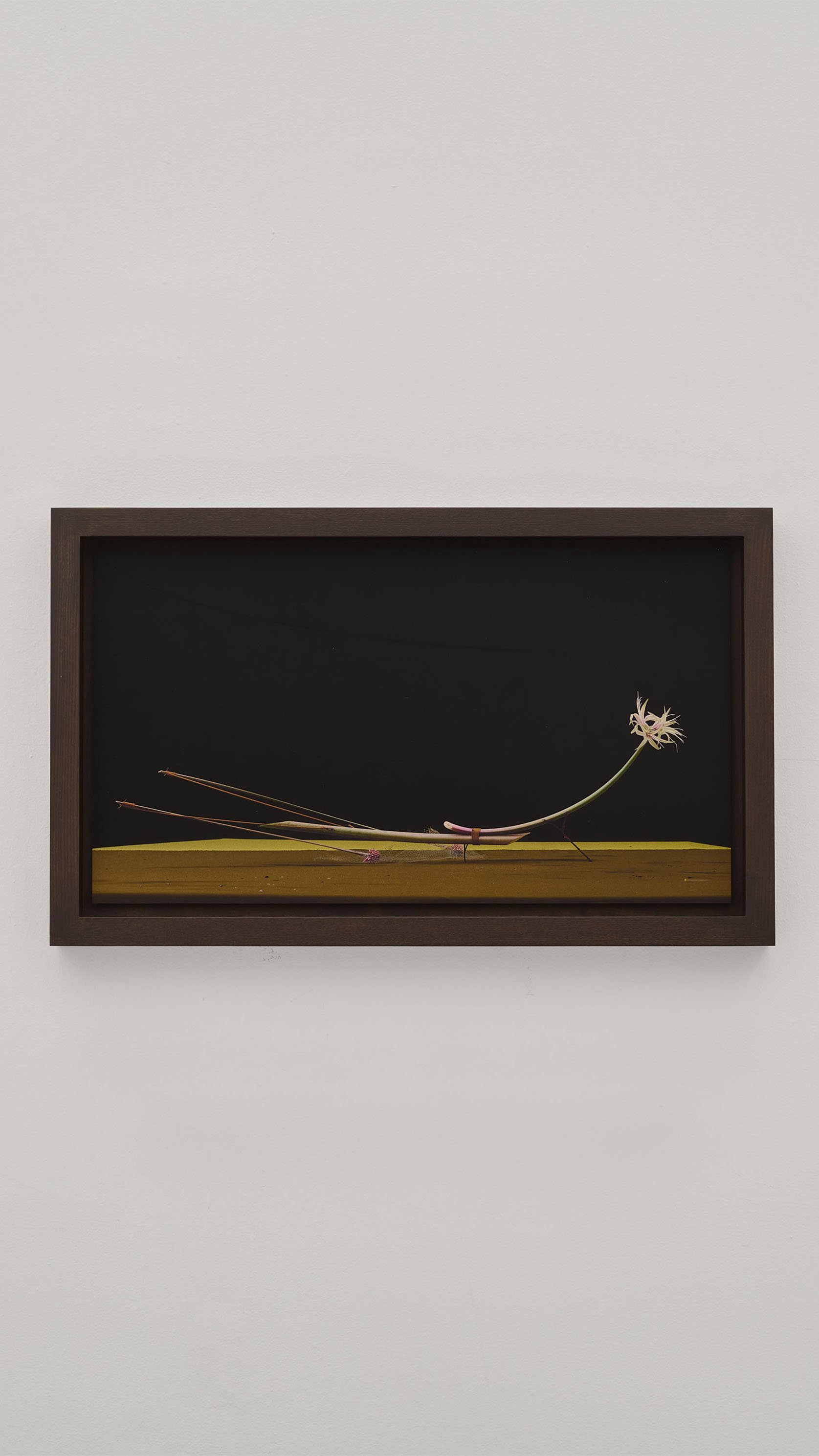 dominik tarabanski - between stems - work 001 - small 4 vertical.jpg