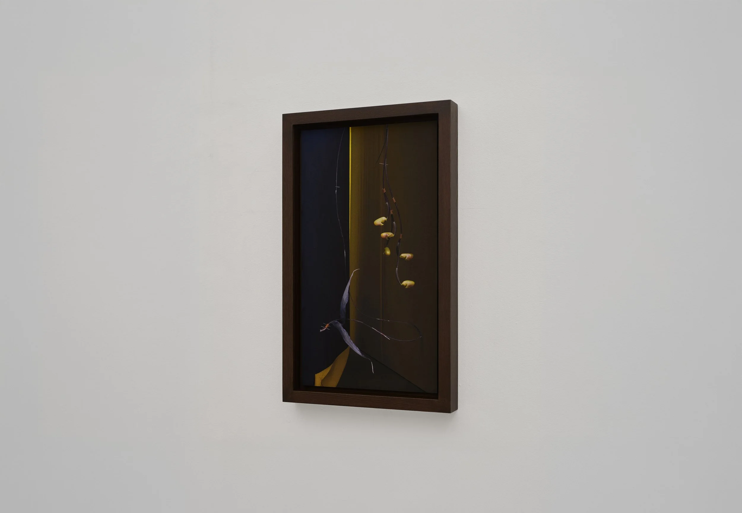 Between Stems — work 002, Dominik Tarabański, New York 2026