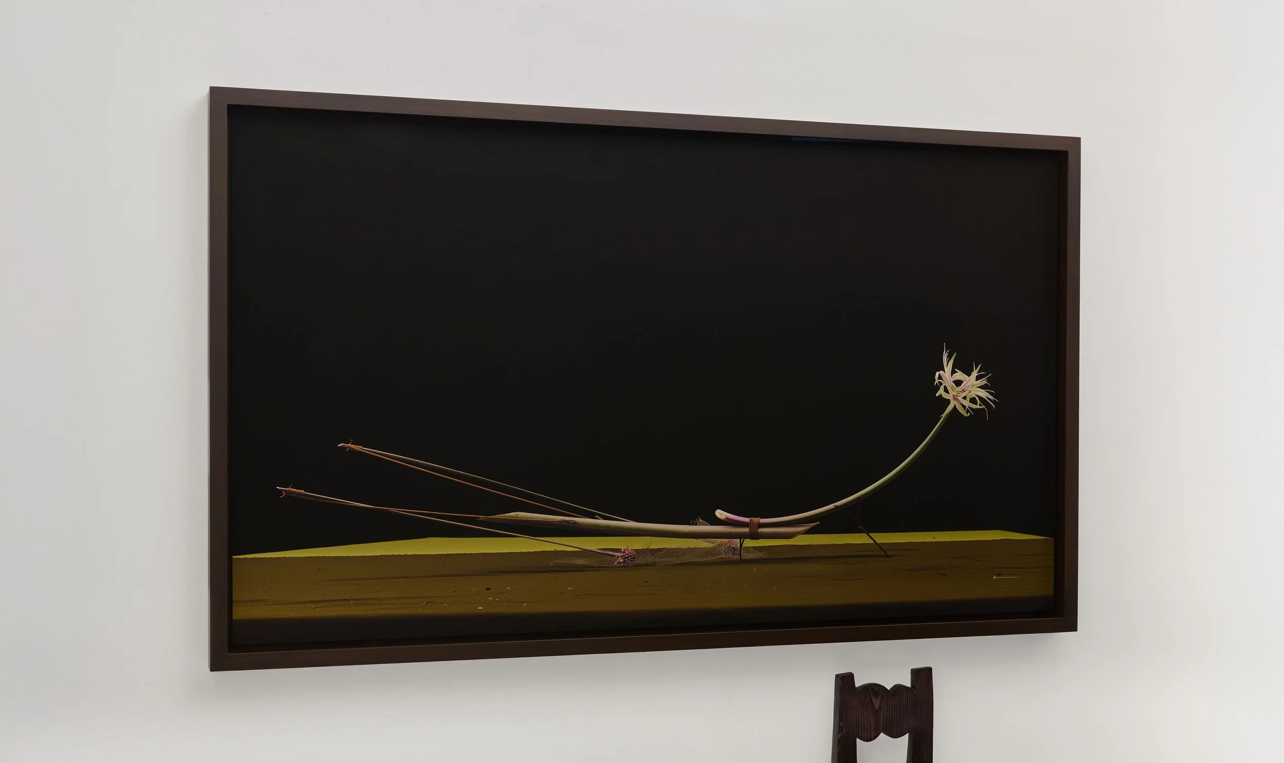 Between Stems — work 001, Dominik Tarabański, New York 2026