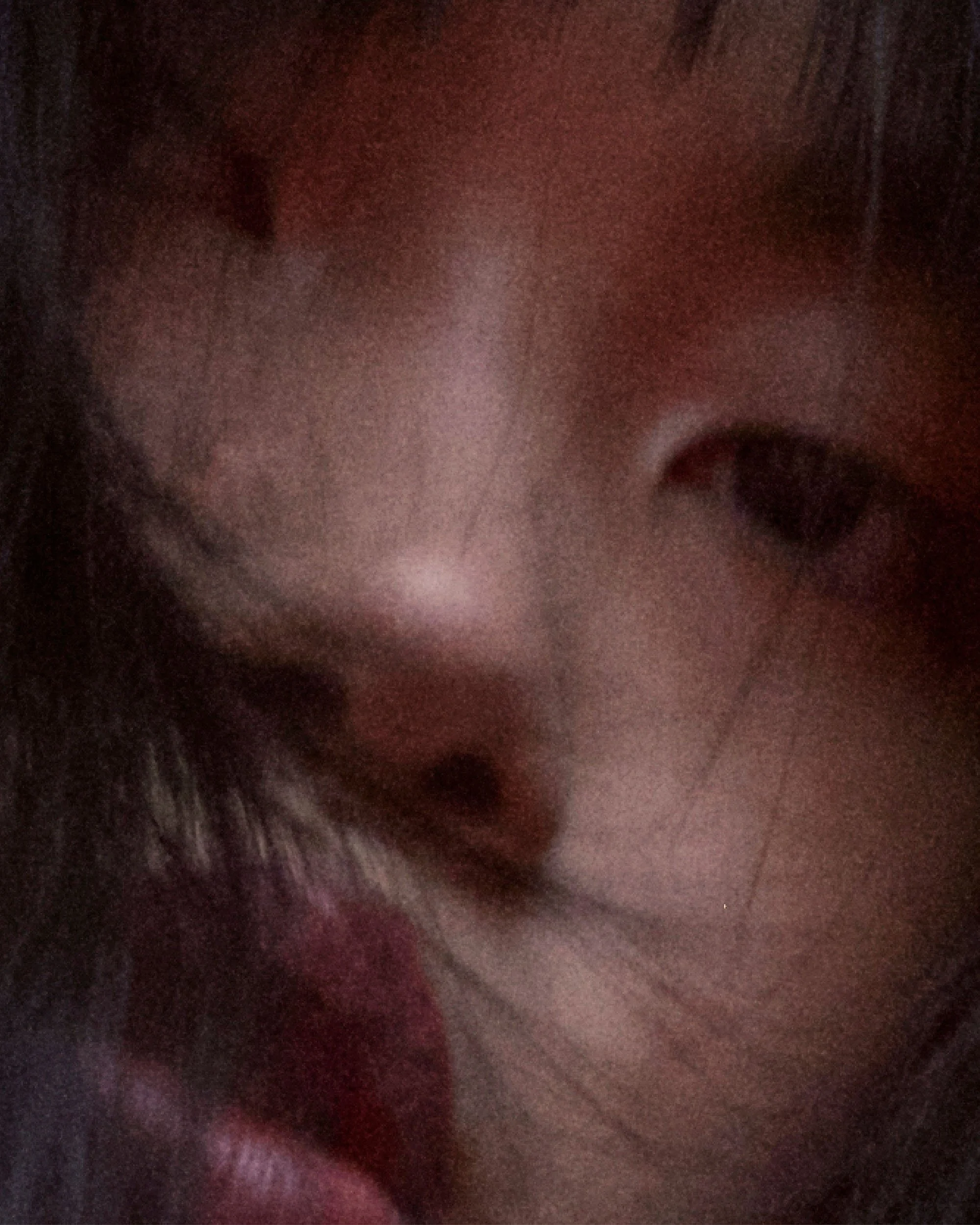 dominik tarabanski - portfolio v6 20251110 November 23.jpg