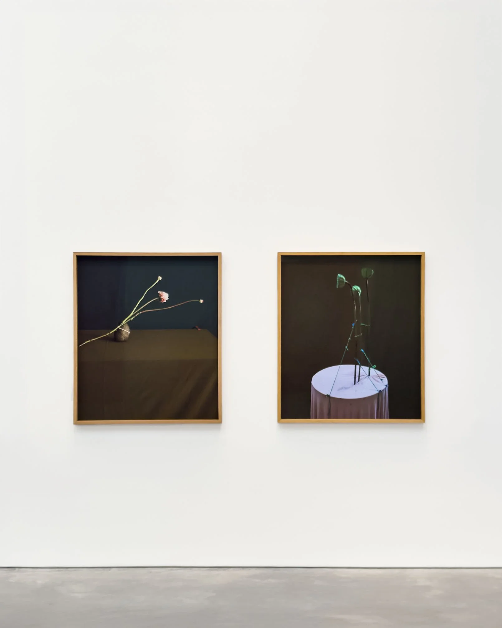 dominik tarabanski - roses for mother ross + kramer 3846.jpg