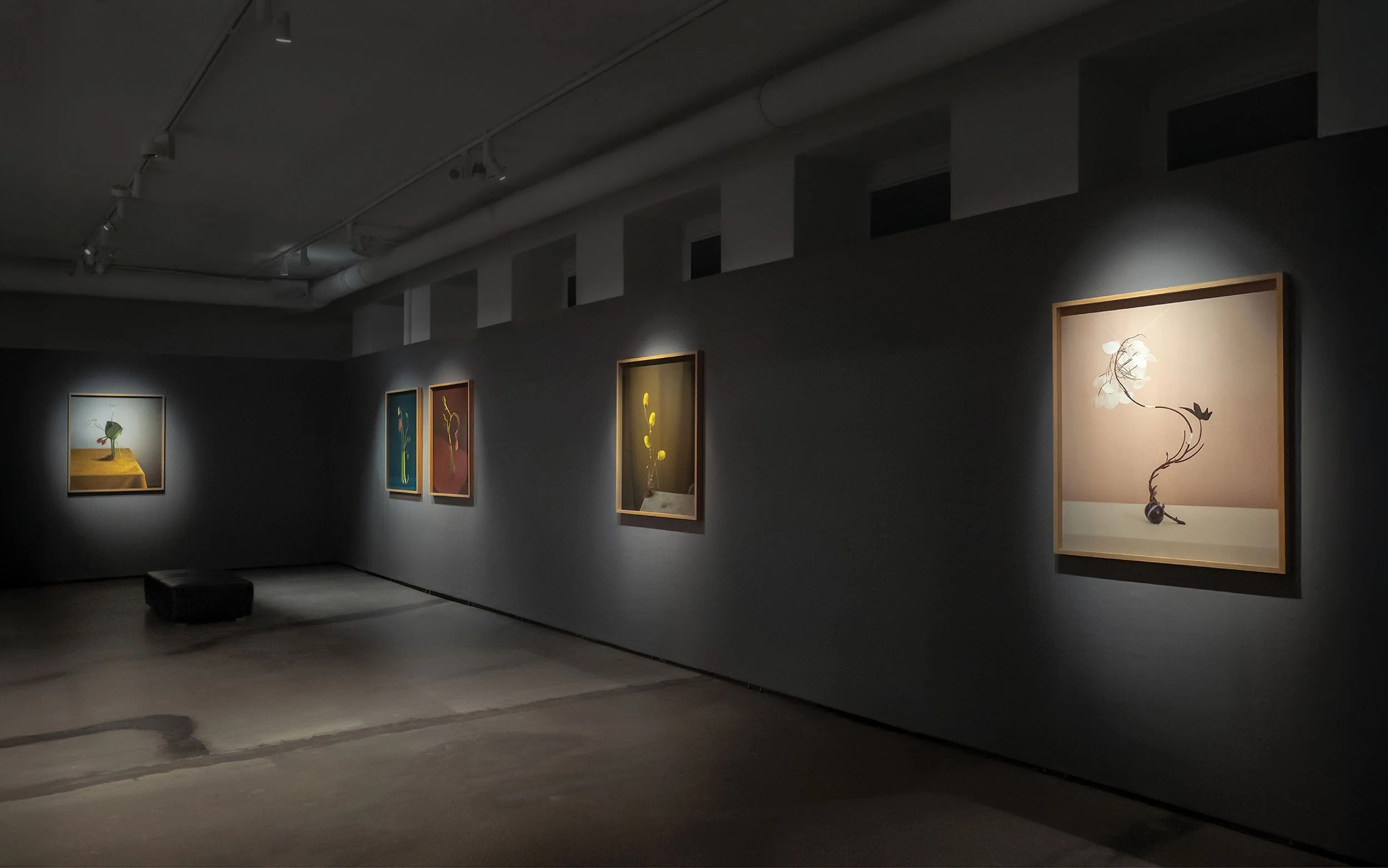 dominik tarabanski - roses for mother - installation view - 6x7 gallery warsaw 1.jpg