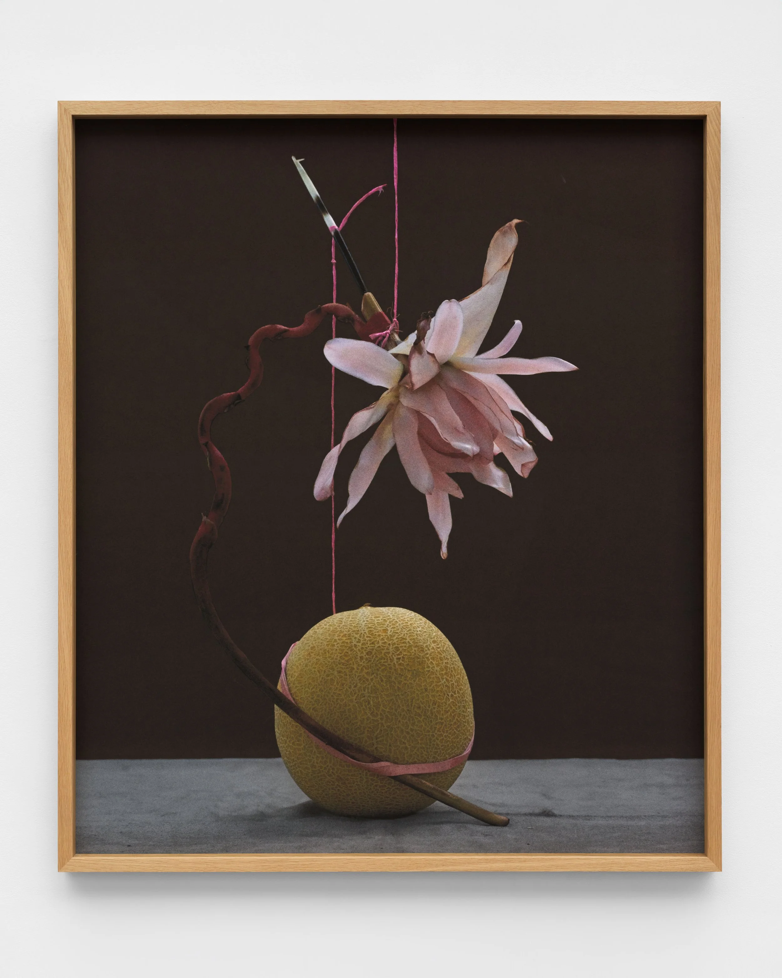 dominik tarabanski - roses for mother ross + kramer by grace dodds 9024.jpg