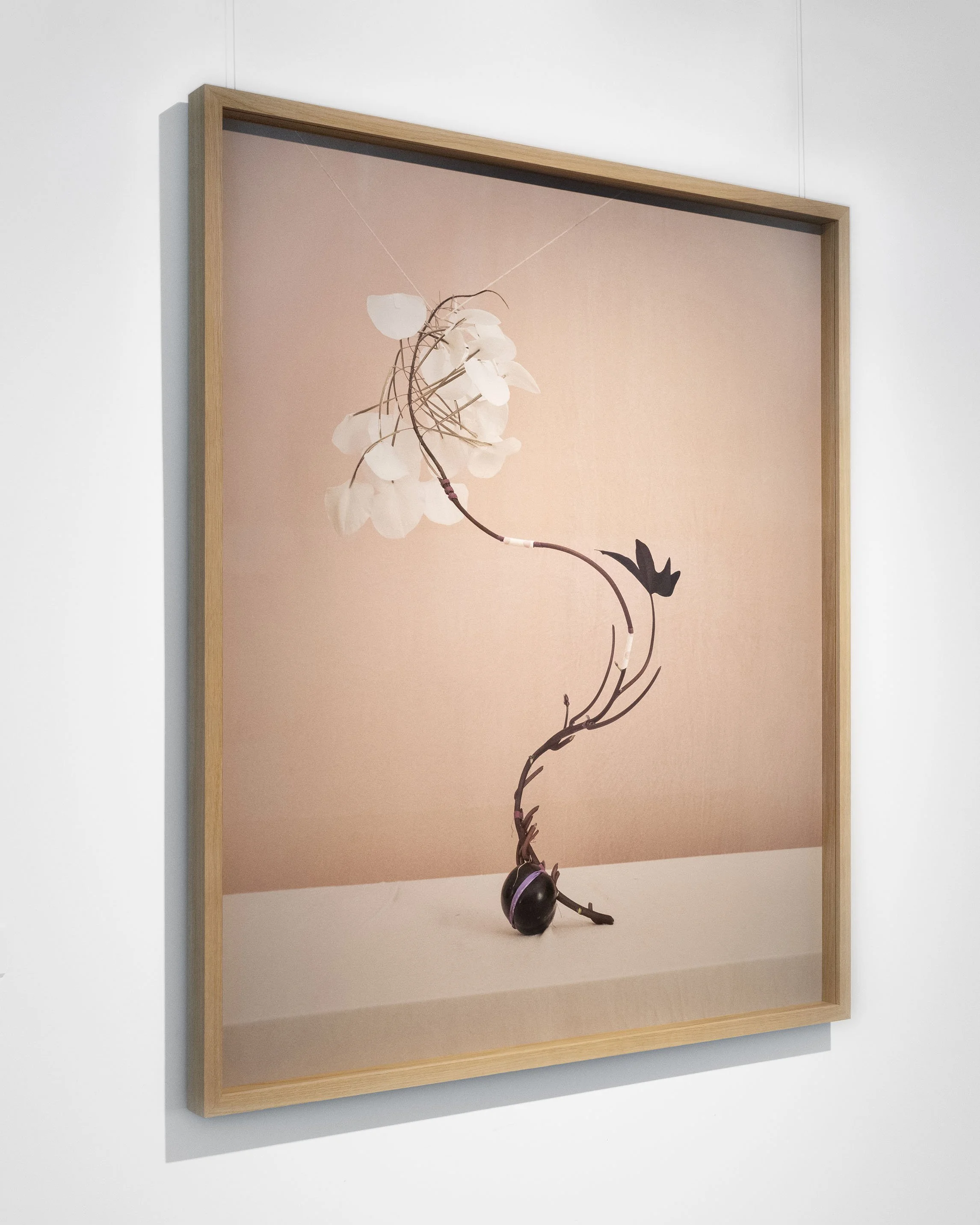 dominik_tarabanski_-_roses_for_mother_szczecin_420_v2.jpg
