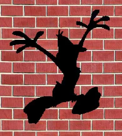 The wall in your pharmacy...after I walked in and saw you were the pharmacist. ( Image )