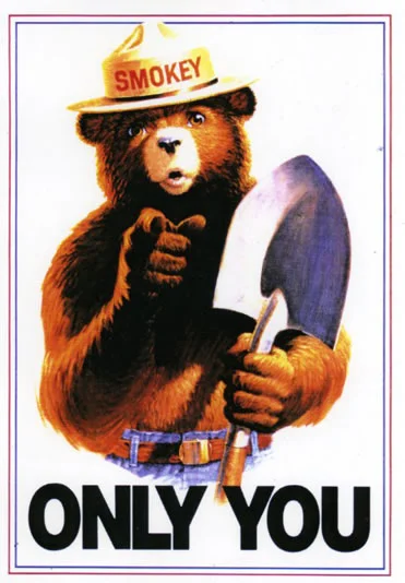 Only You can prevent professional shaming. Image