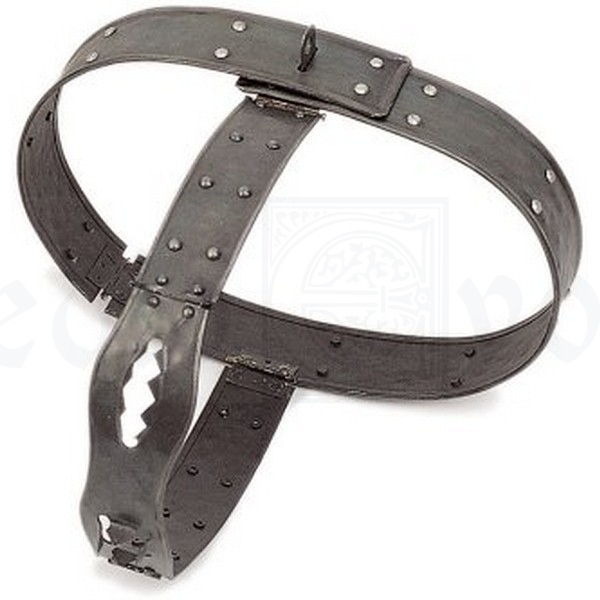 Maraviroc: the chastity belt of T cells ( source ).