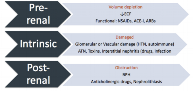 Kidney Beans Part 2: The Case of Renal Dysfunction — tl;dr pharmacy