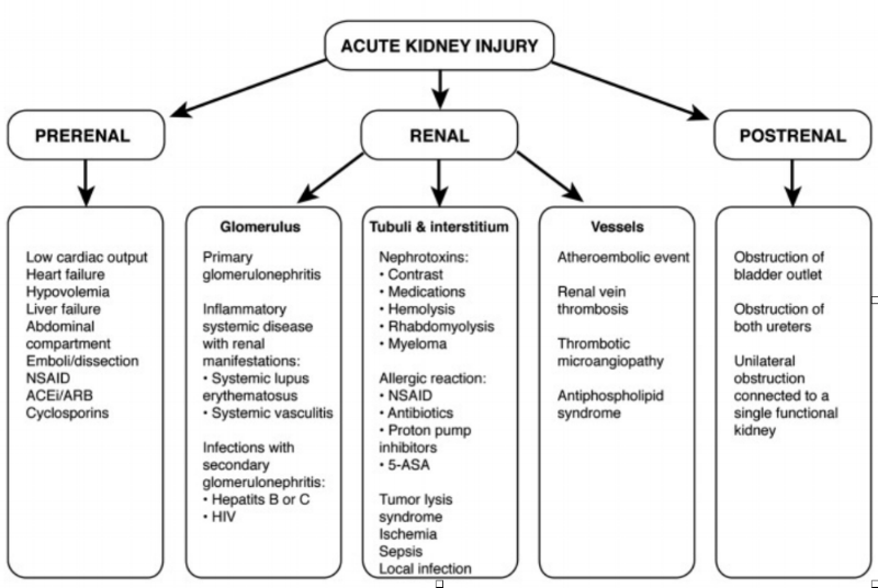 So for a thorough review of the causes of AKI… (Image)