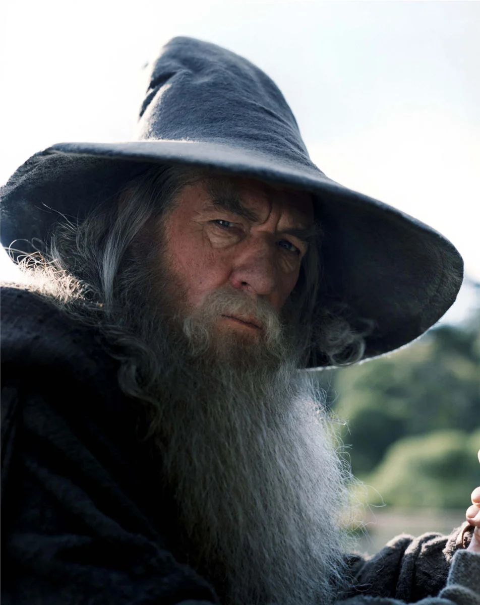 What? Of course a person who likes Star Wars can like LOTR too! (Image)