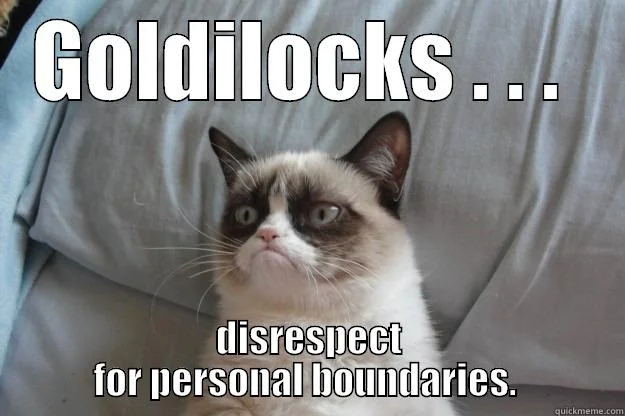 The true story of Goldilocks as told by Angry Cat. (Image)