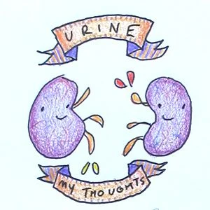 Aw, aren’t your kidneys thoughtful? Return the favor! ( Image )