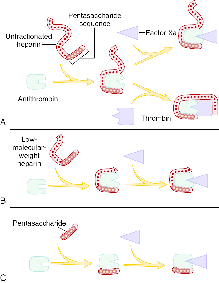 Yes, I left this mechanism of action image ginormous. Because if you take nothing else away from this post, remember this! ( Image )