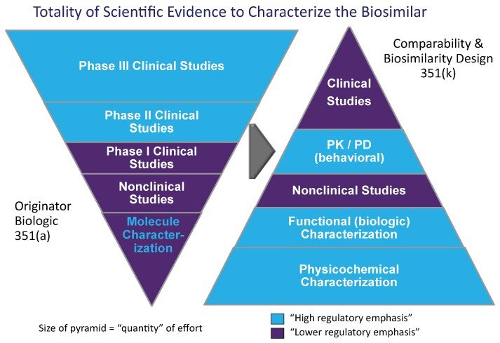 Notice how much weight is placed on Clinical Studies for a biologic (reference product)…compared to how much weight is placed on Clinical Studies for biosimilars. ( Image )