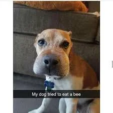 He just couldn’t help himself…