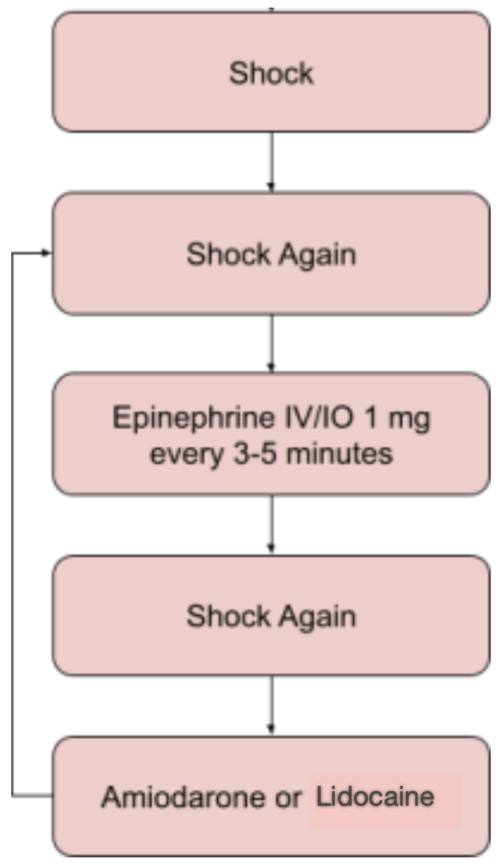The Pharmacist's Crash Course on the Crash Cart — tl;dr pharmacy