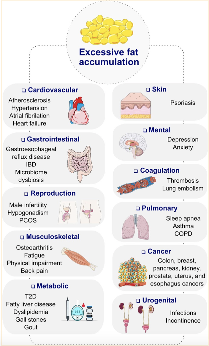The GLP-1 Agonists and Obesity: How Diabetes Drugs are Changing Non