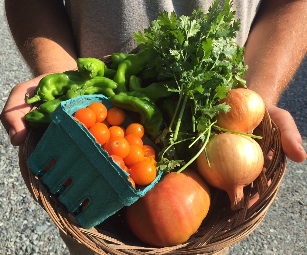Farm-fresh gazpacho ingredients