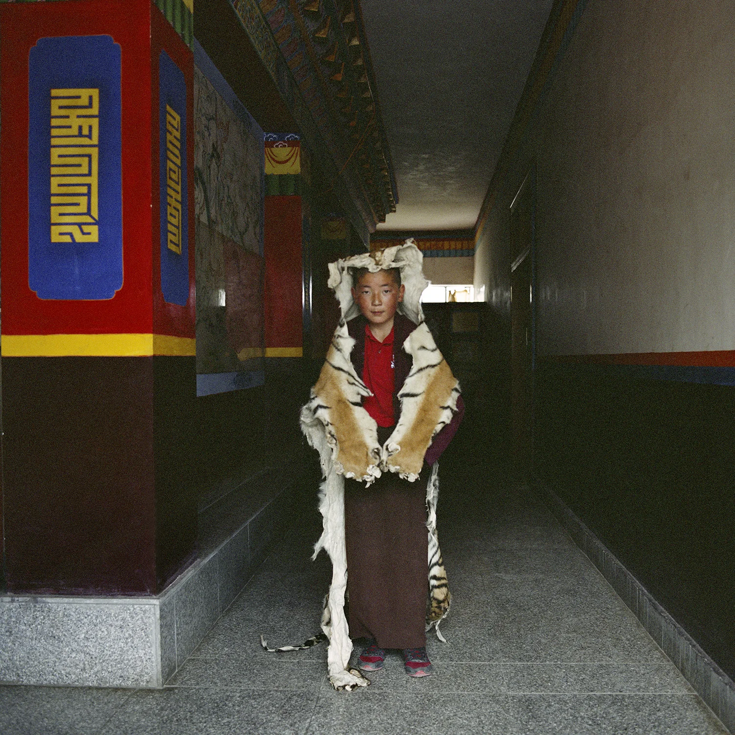 Tibet_RinchenLucy_Tiger copy.jpg