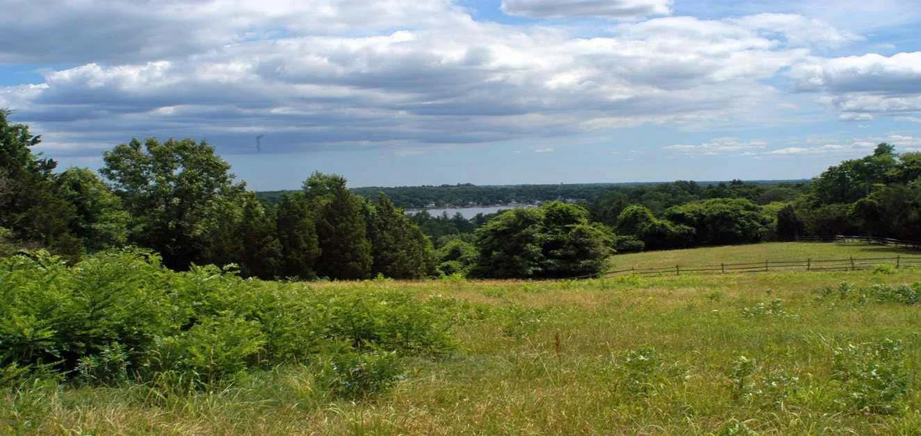0000mcfHUBER VIEW FROM HILL GREEN.jpg