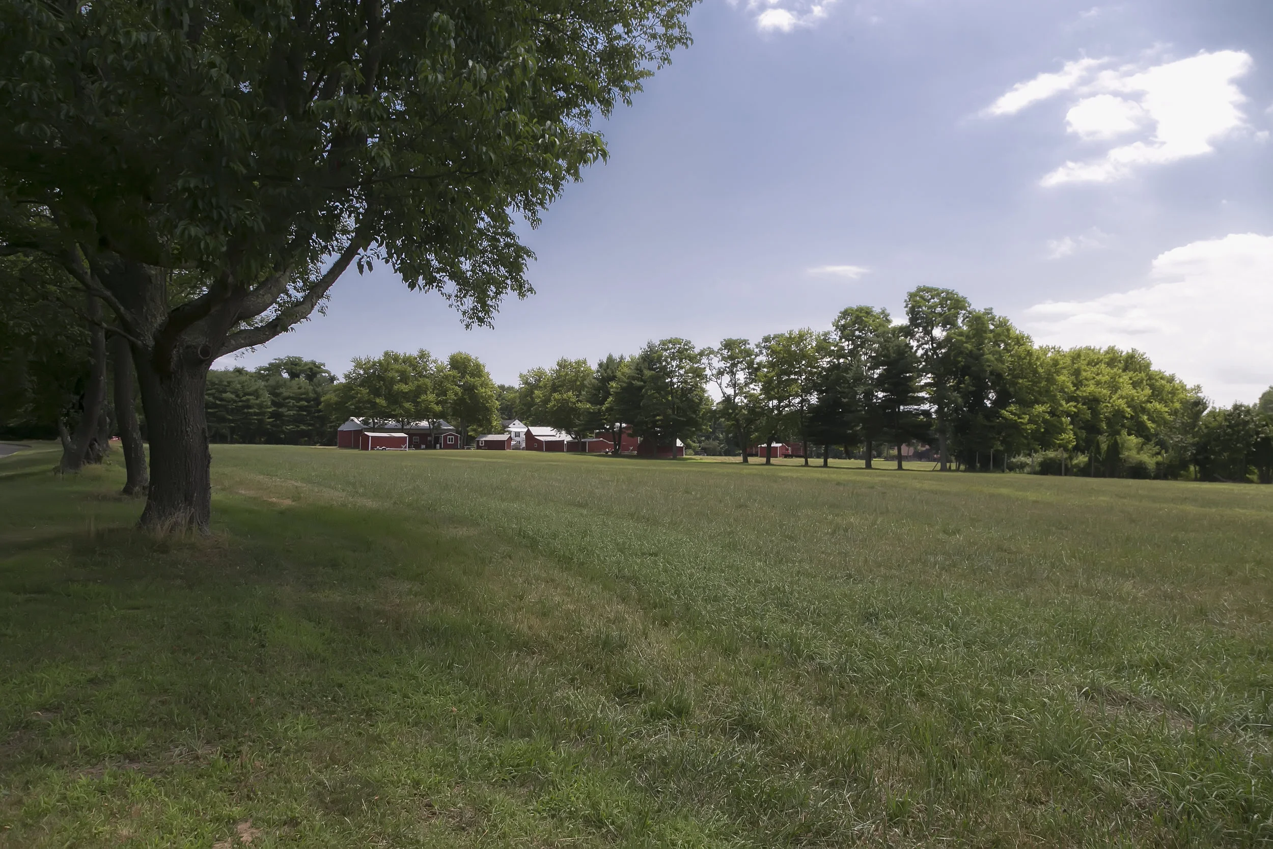MCFCC_Farmland_Easement_20180712_T_Colella_05.jpg