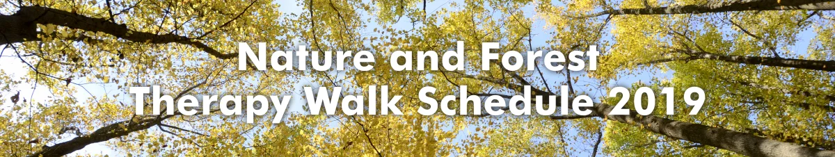 walks page head 19.jpg