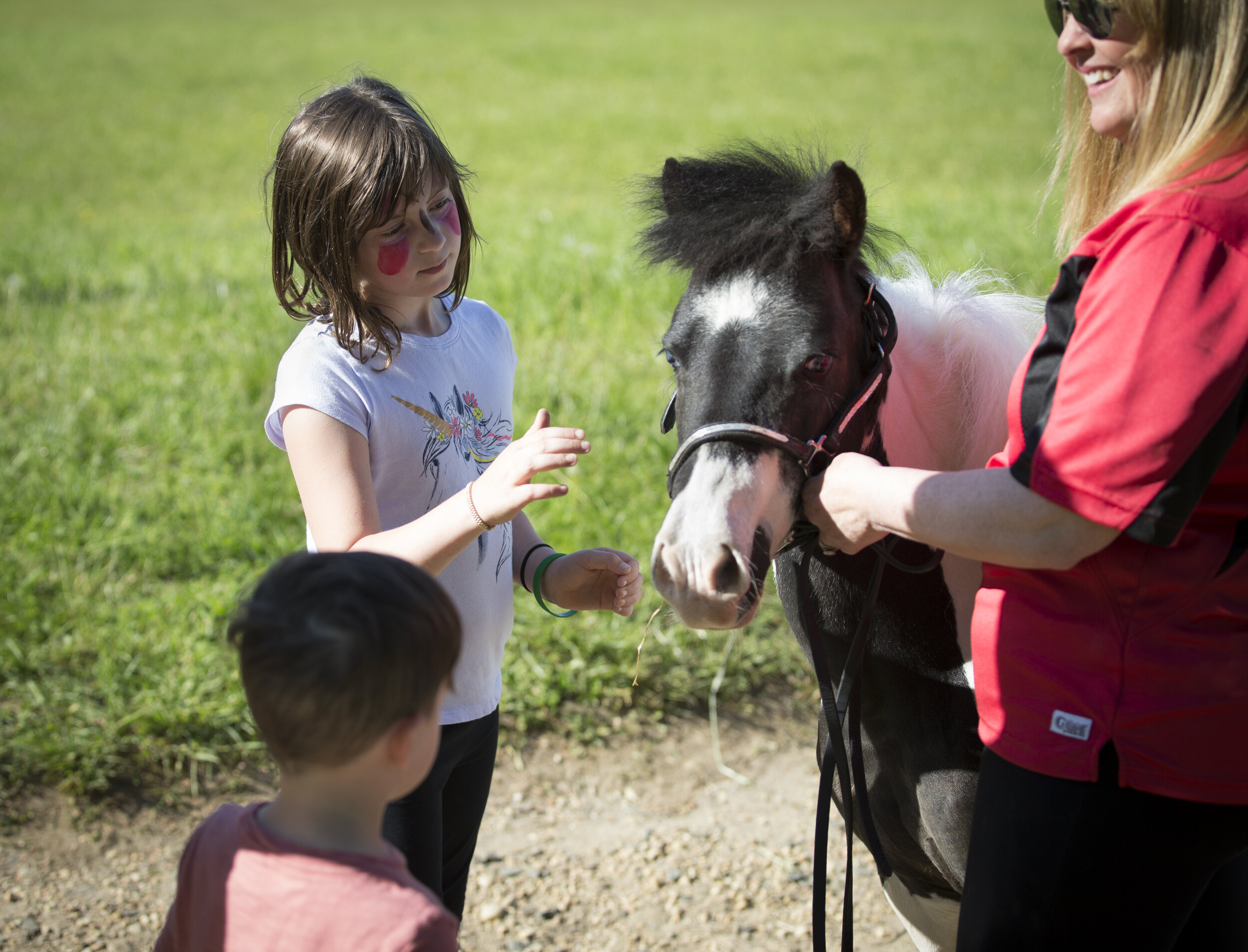 Bayonet_T_Colella_MiniHorsePetting.jpg