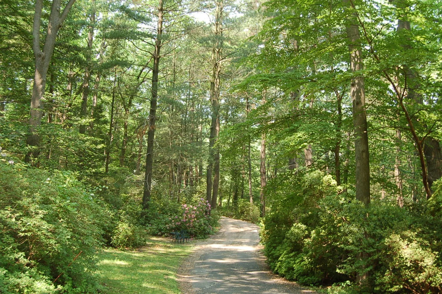 scudder-preserve-mcf