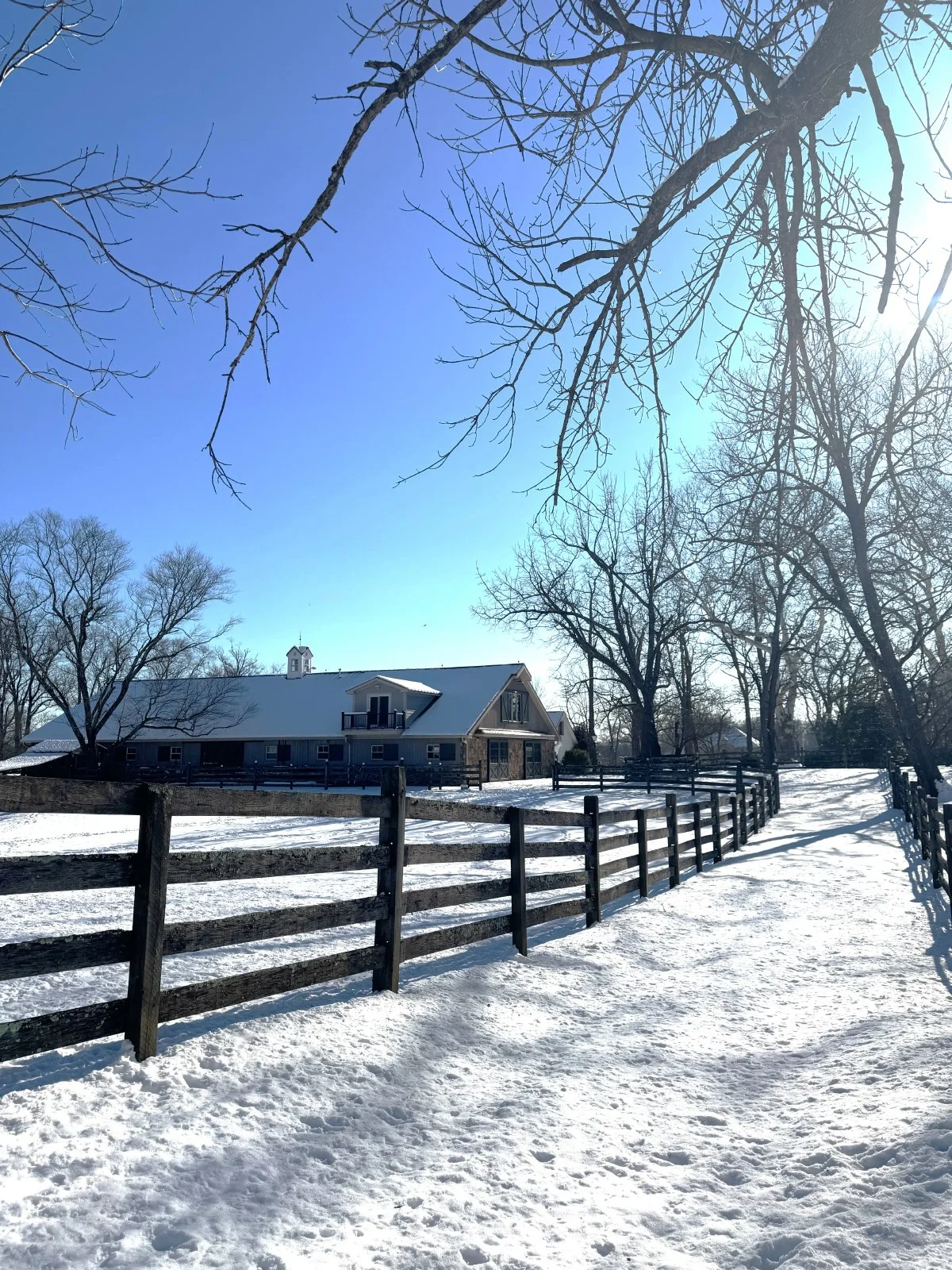 Winter on the Farm: A Season of Care and Preparation 