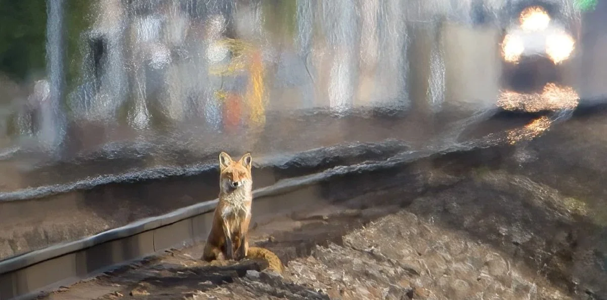 The Pressures of Development: Monmouth County’s Crossroads 