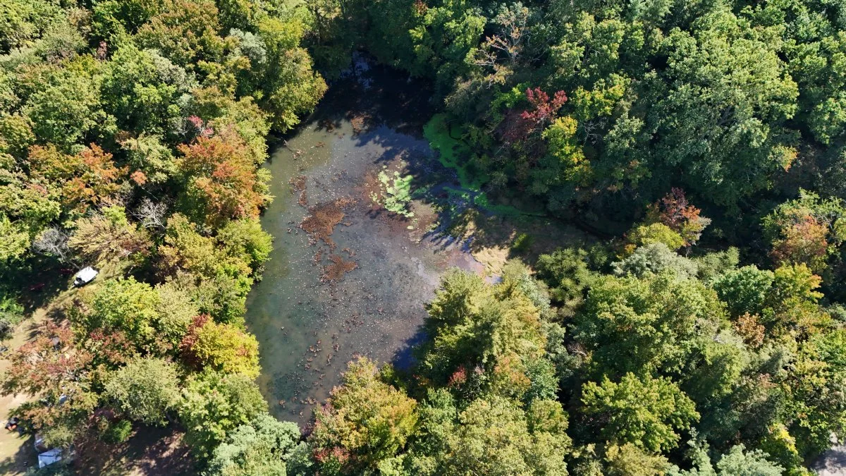 Scudder Preserve Pond. Photo by Kevin Knecht.