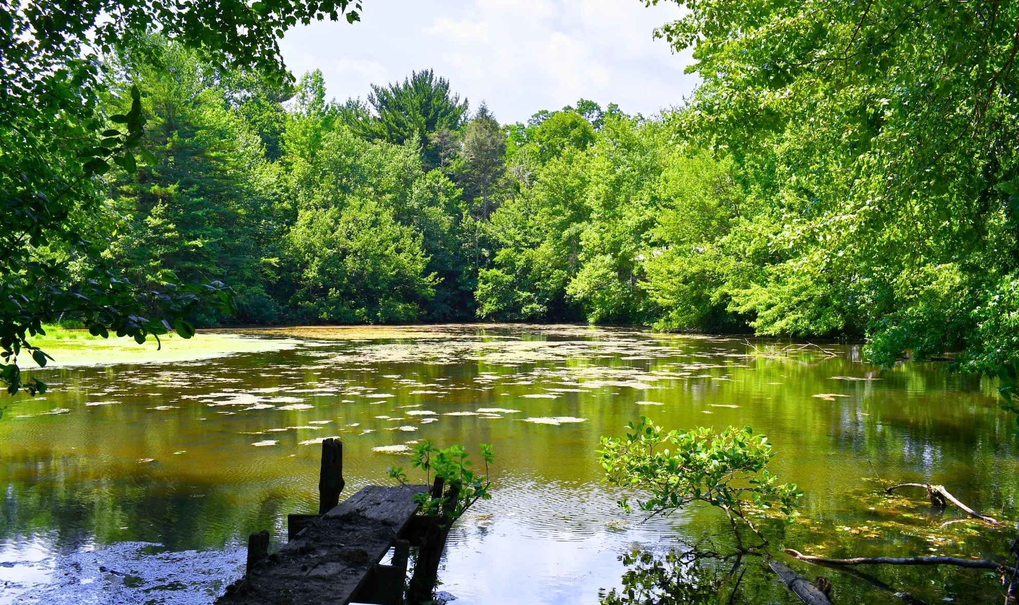 Scudder Preserve Pond Photo: New Jersey Resources (NJR)