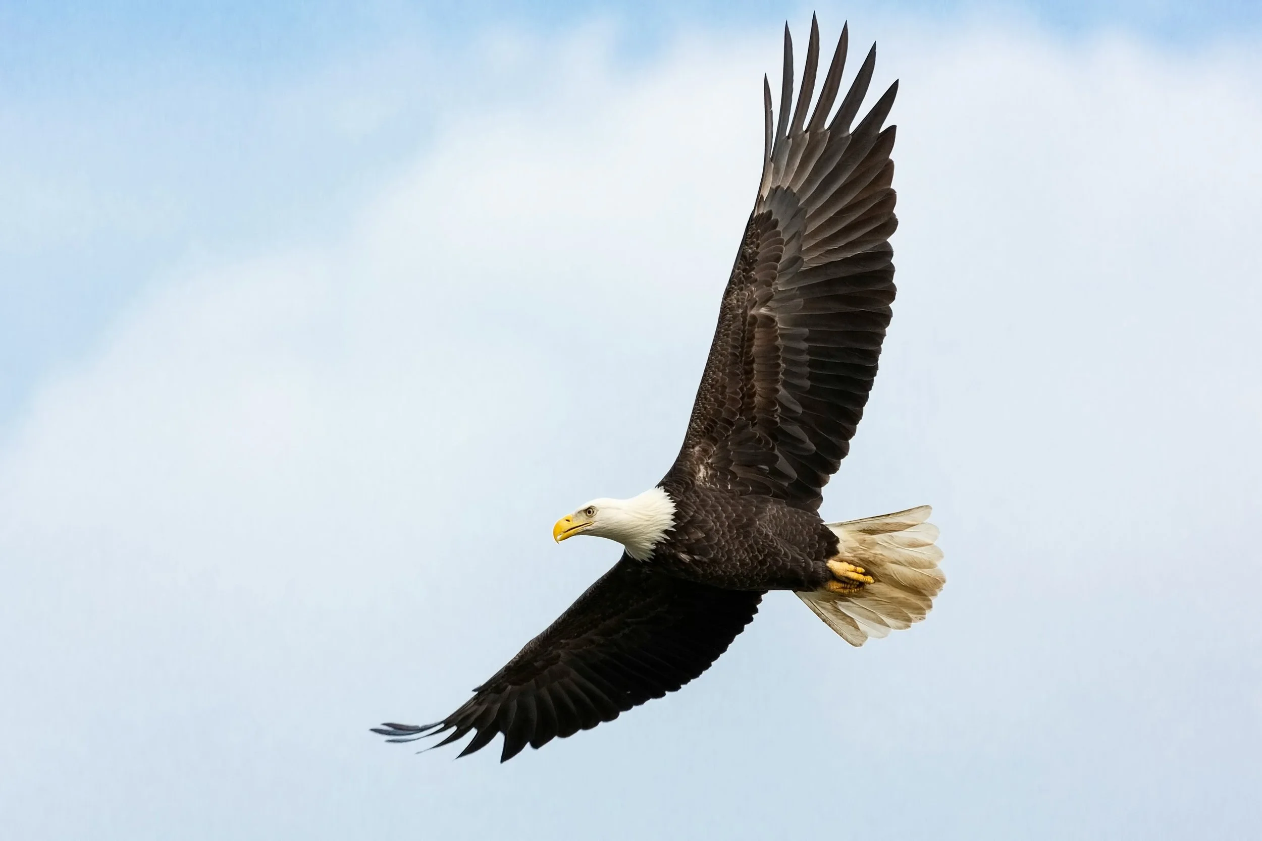 Photo by Mathew Schwartz on Unsplash