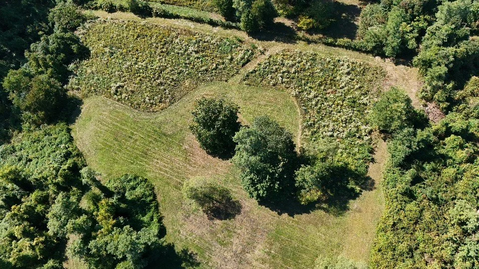 Aerial image of Scudder Preserve. Photo by Kevin Knecht.
