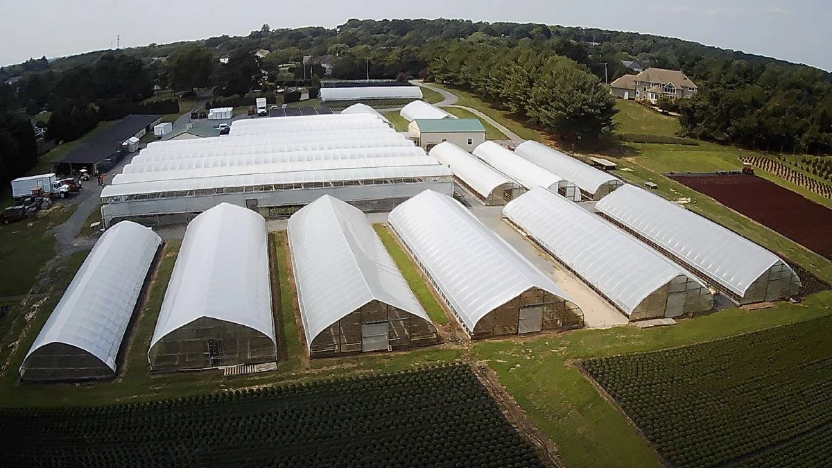 Linwyck Gardens. Photo courtesy of the Linney Family.