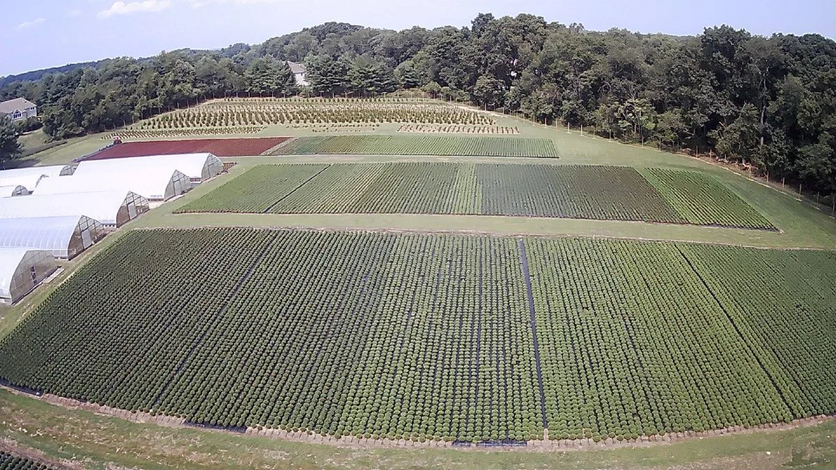 Linwyck Gardens. Photo courtesy of the Linney Family.