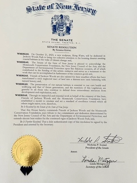  SENATE RESOLUTION - Click to enlarge 