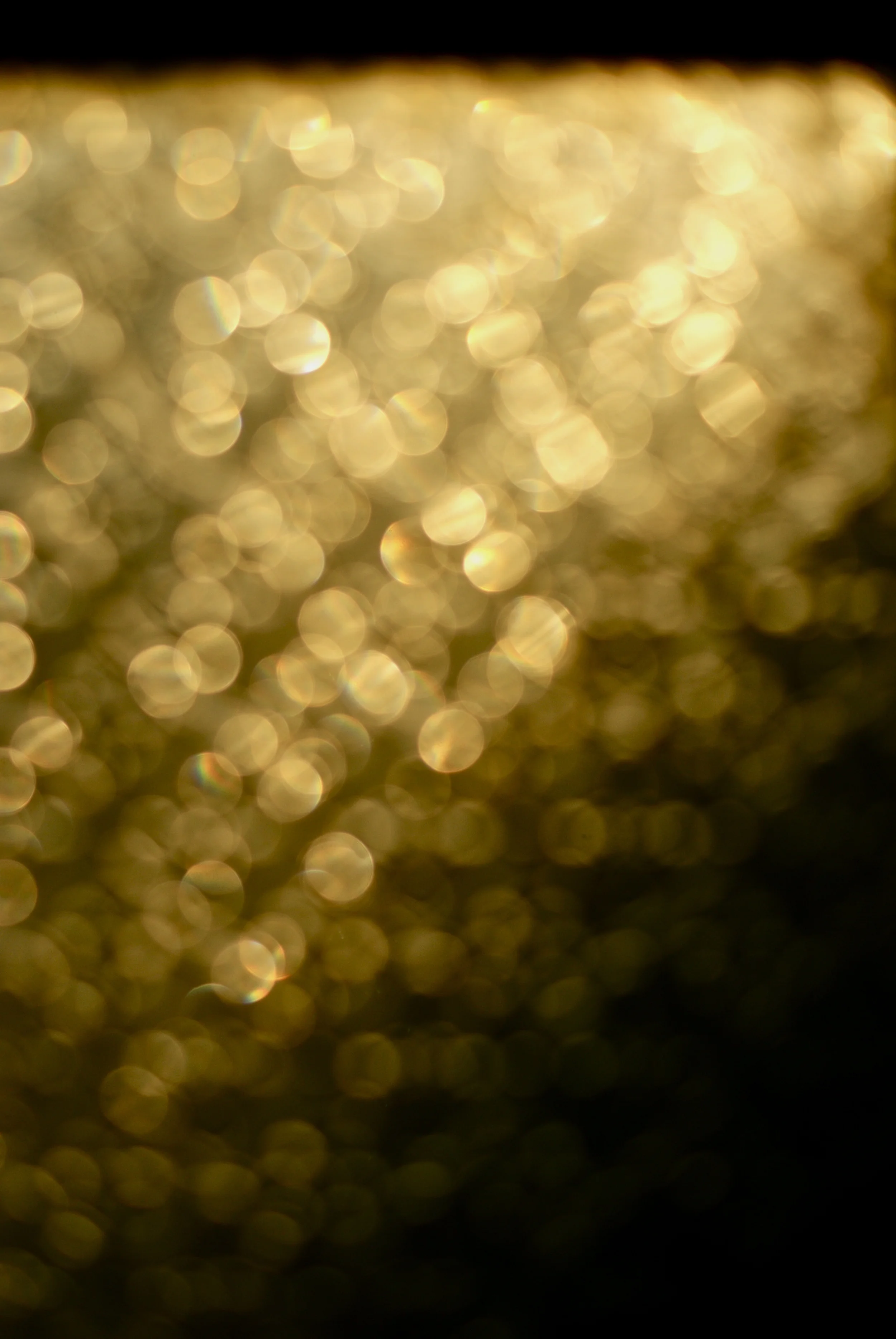 Passionate Exploring