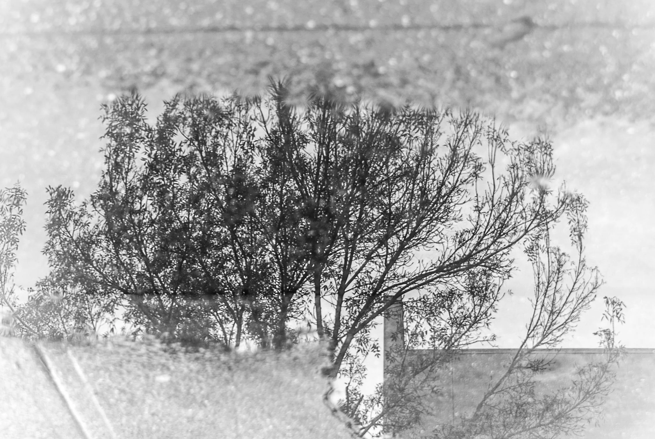 untitled shoot-004.jpg