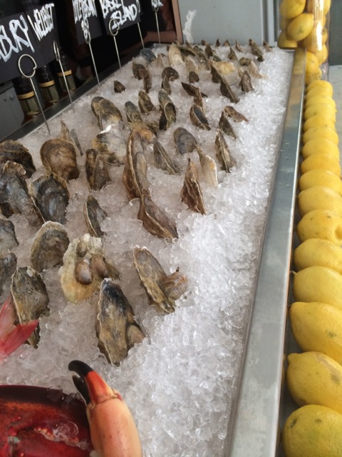 Oysters on ice - Oyster Century Club