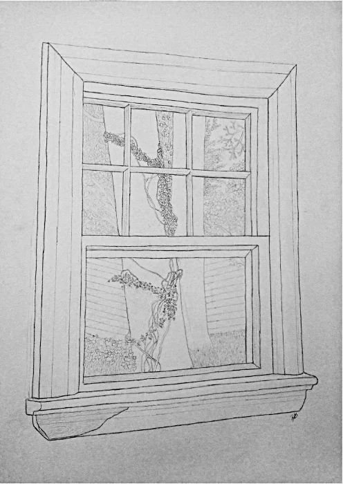 Size: 24”x18” Medium: Graphite on paper School: Arcadia University, 2015
