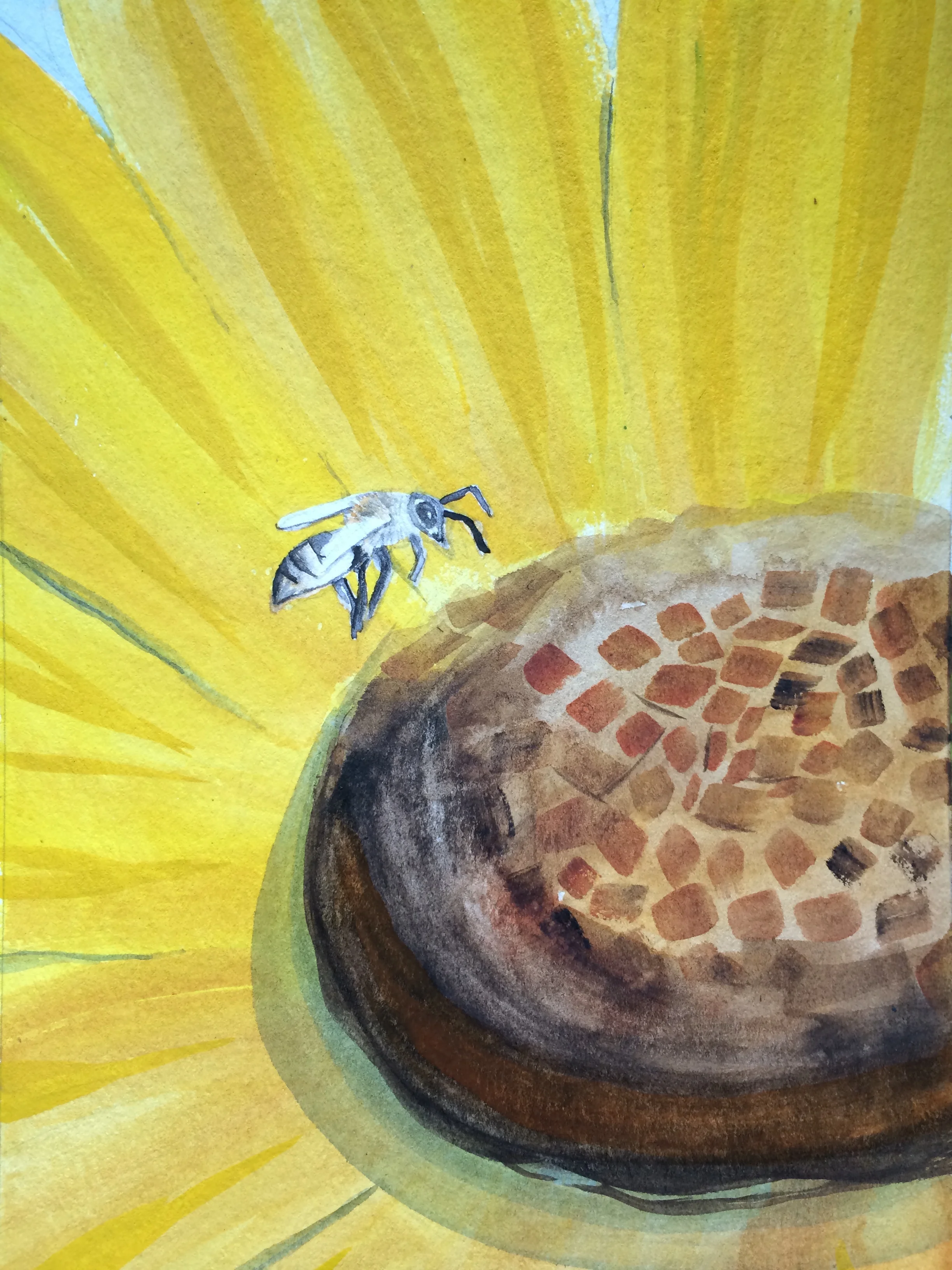 The Sunflower and the Bee