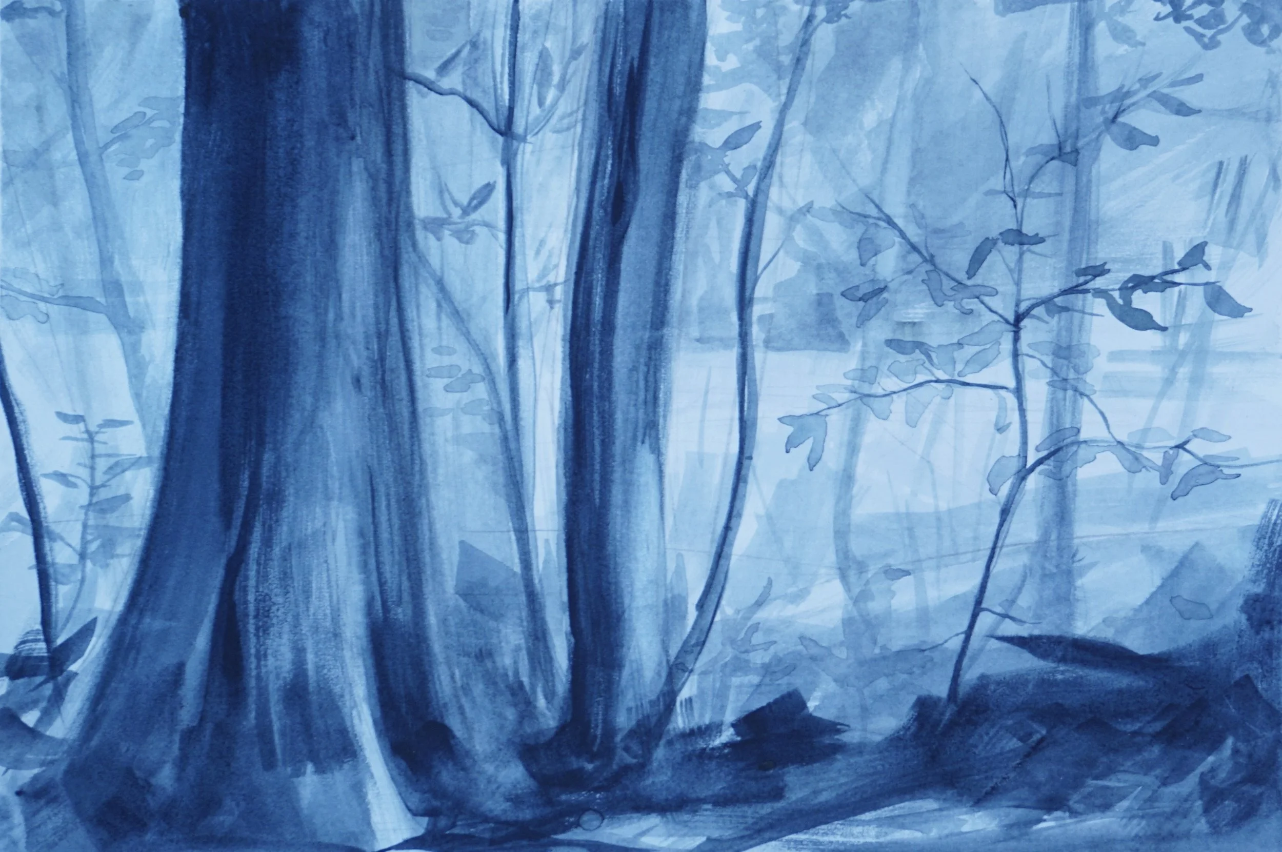 Forrest Edge